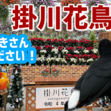 掛川花鳥園に行ってきました！